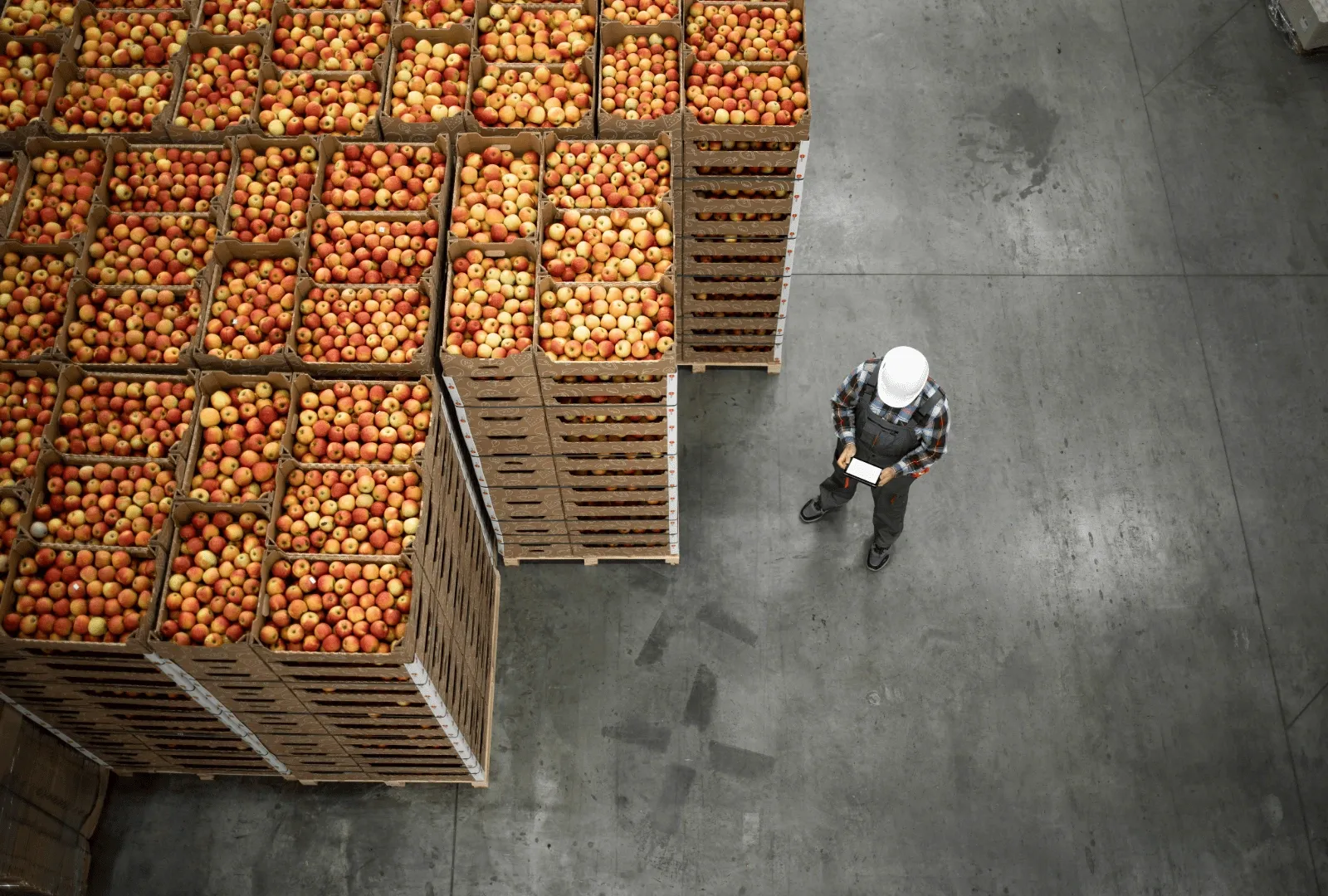 Produzione Pure Stagioni